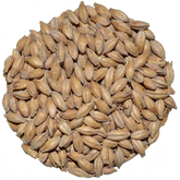 Maris Otter Malt | Crisp